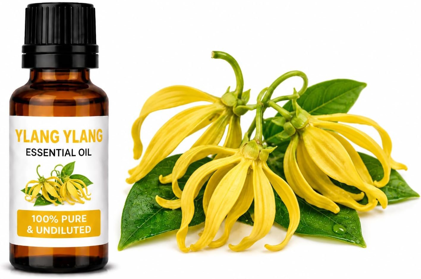 $50 Ylang Ylang Essential Oil Pure Undiluted Essential Oil, 30 ml