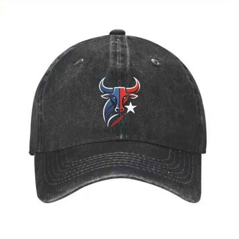 Houston Texans Baseball Cap - Adjustable Classic Low Profile