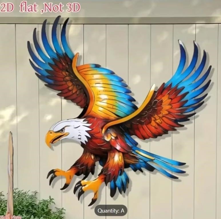 Eagle Wall Decor - Soaring Bird Acrylic Panel